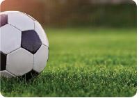 Soccer Theme Playing Cards - Free Setup main image